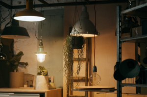 bulbs