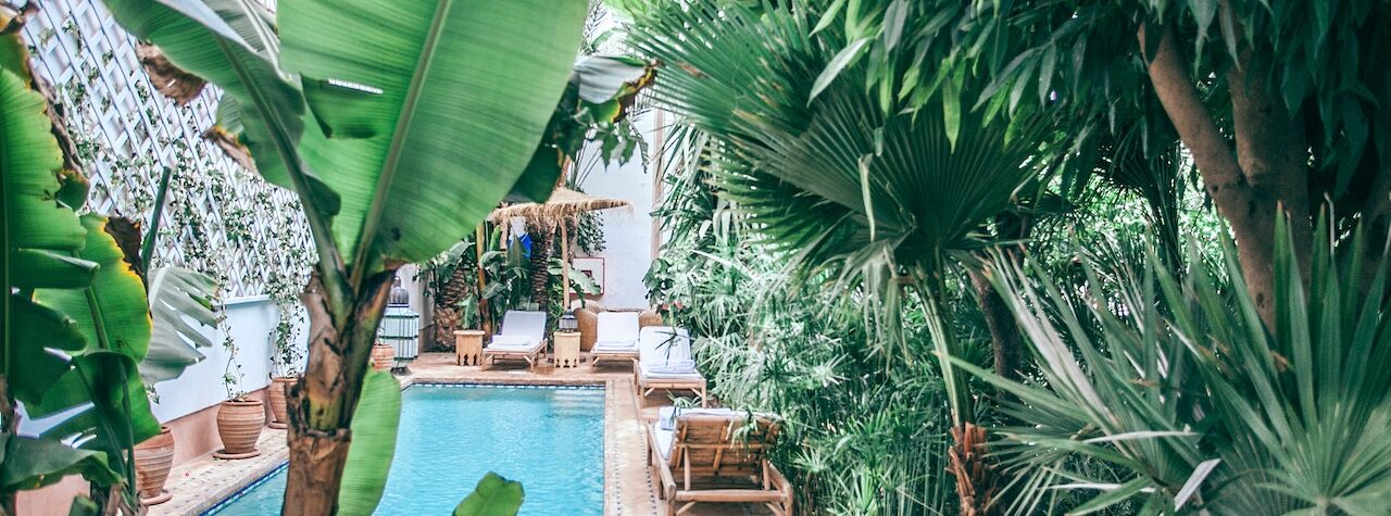 tropical