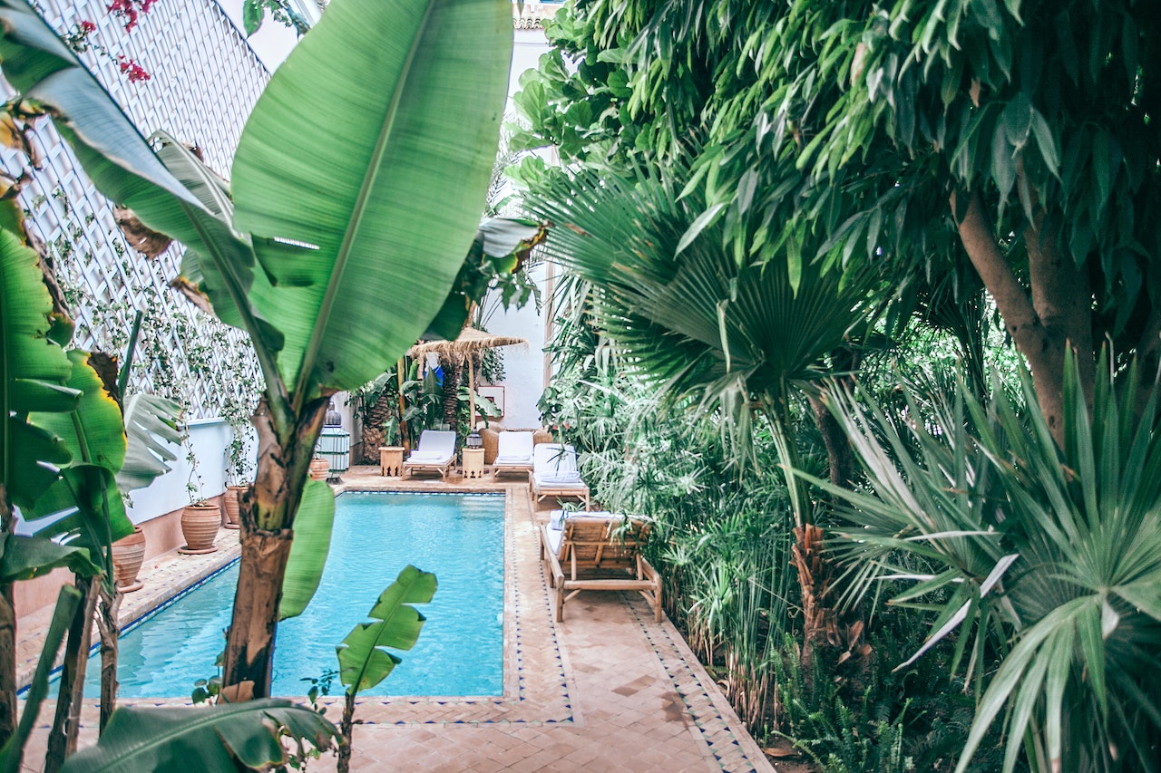 tropical